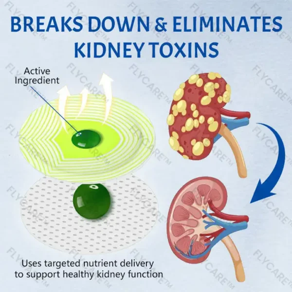 FLYCARE™ NephroFlex Kidney Boost Patch