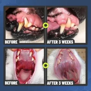 Hudros™ Teeth Cleaning Spray for Dogs & Cats