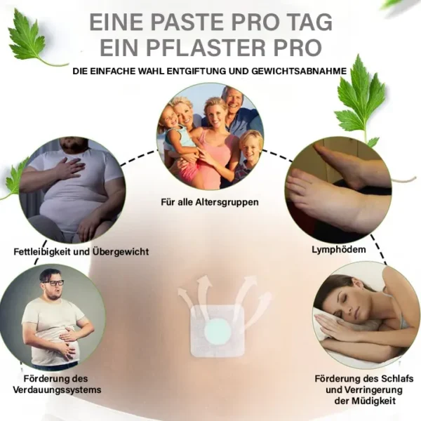 Oveallgo™ Schlangengift-Lymph-Detox-Pflaster