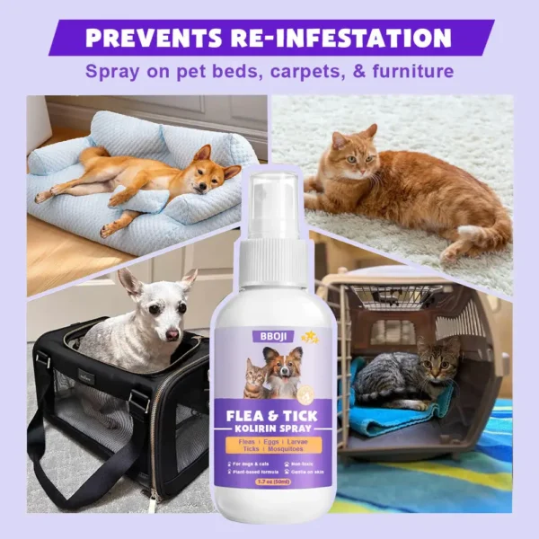 Flea & Tick Kolirin Spray